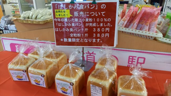 はしかみ食パンの販売スタートしました！